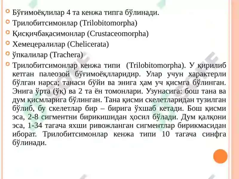 Халқали чувалчанглар тури 7