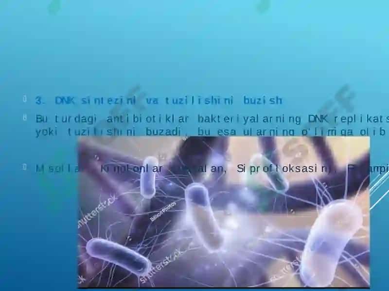 Bakteriyalarning antibiotiklarga chidamli shakllarini paydo bo'lish mexanizmlari 7