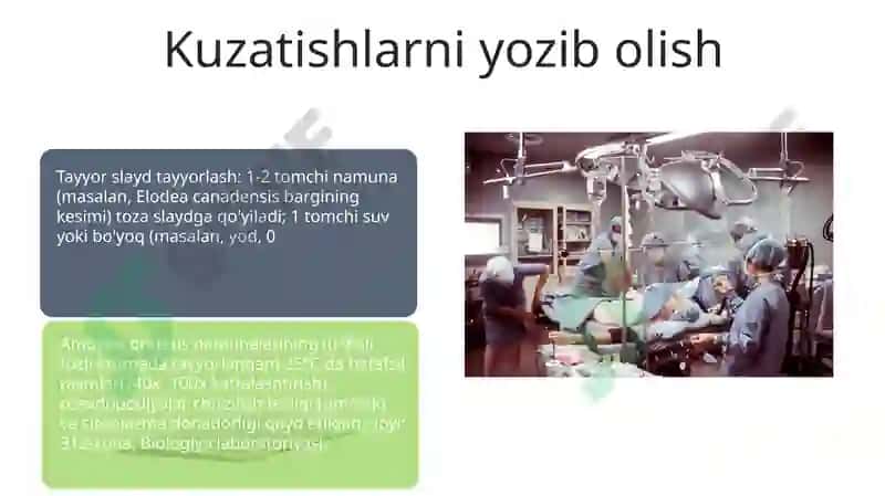 Mikrosikop 7