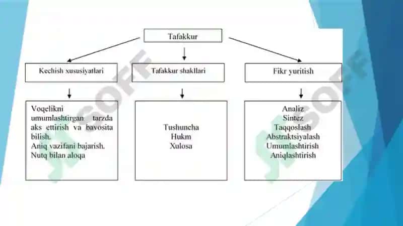 Tafakkur 7