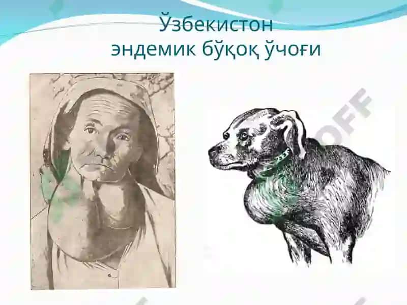 ТТА нинг 1 сонли факультет ва госпитал хирургия кафедраси 7