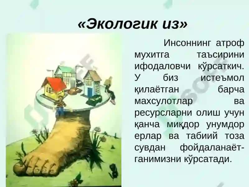 Insoniyatning global muammolari 7
