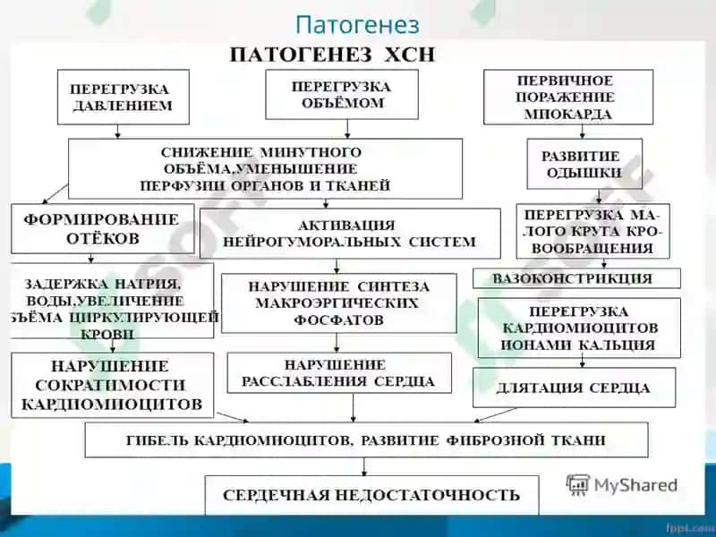 Хроническая сердечная недостаточность 7