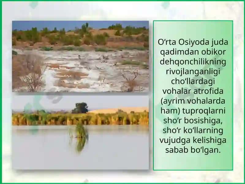 EKOLOGIK MUAMMOLARIVA TABIATINI MUHOFAZA QILISH 7
