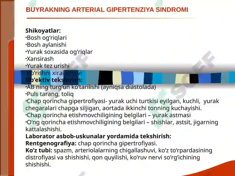 BUYRAK KASALLIKLARI SINDROMLARI. O‘TKIR VA SURUNKALI GLOMERULONEFRIT VA PIYELONEFRITLAR DIAGNOSTIKASI 7