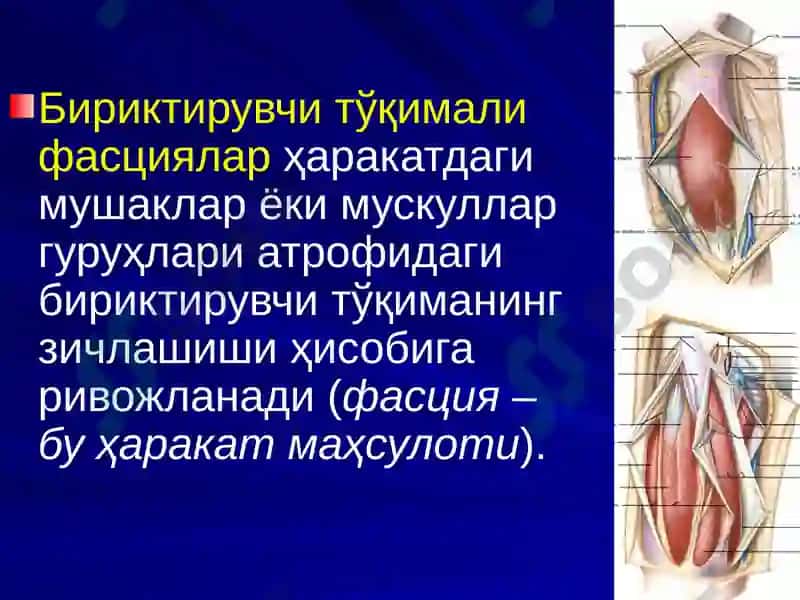 ЙИРИНГЛИ ЖАРАЁНЛАРНИ ЖАРРОҲЛИК ЙЎЛИ БИЛАН ДАВОЛАШНИНГ АСОСИЙ ТАМОЙИЛЛАРИ. 7