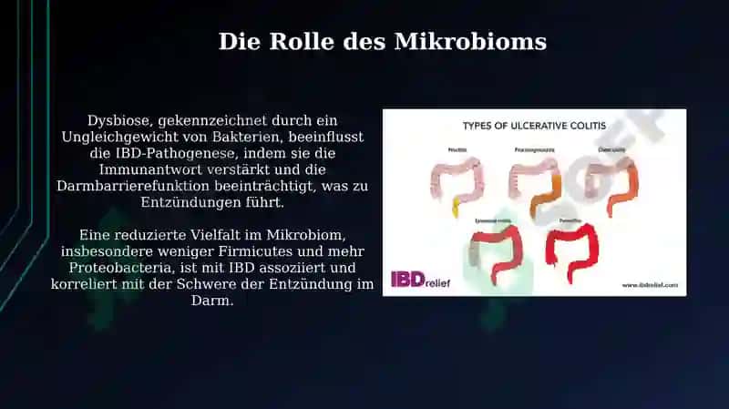 Chronisch-entzündliche Darmerkrankungen 7