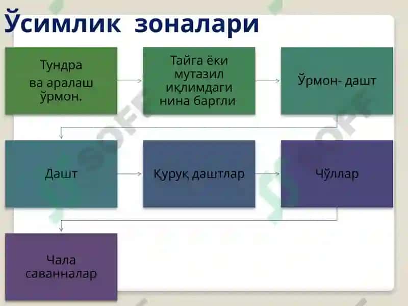 ТУПРОҚ ПАЙДО БЎЛИШ ЖАРАЁНЛАРИНИНГ УМУМИЙ СХЕМАСИ 7