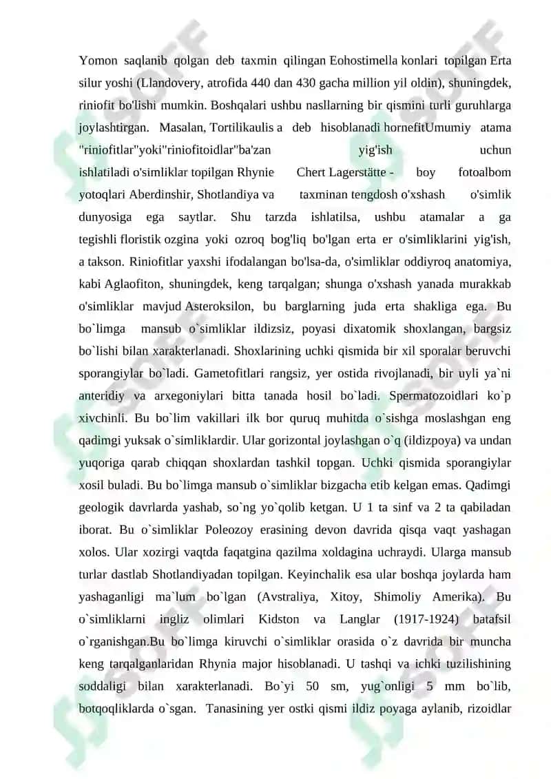 Riniyatoifa – Ryhniophyta o’simliklar bo’limi KURS ISHI 7