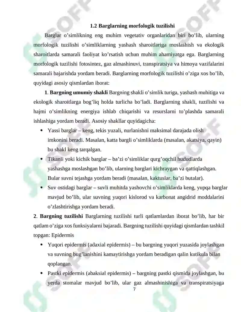 Barglarning Morfologik va Anatomik Tuzilishi 7