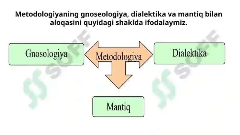 Ilmiy tadqiqot faoliyatining namoyon bo’lish shakllari 7