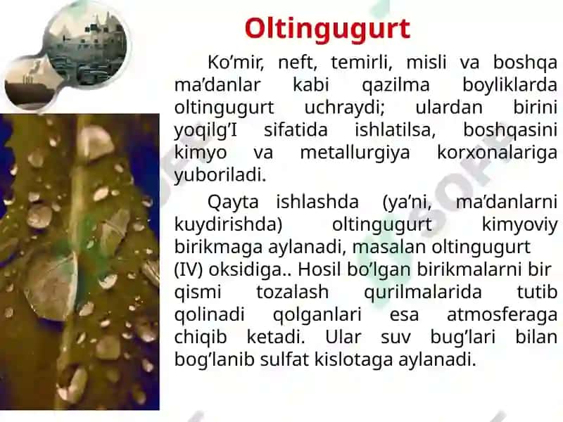 Kislotaliyomg’inlar 7