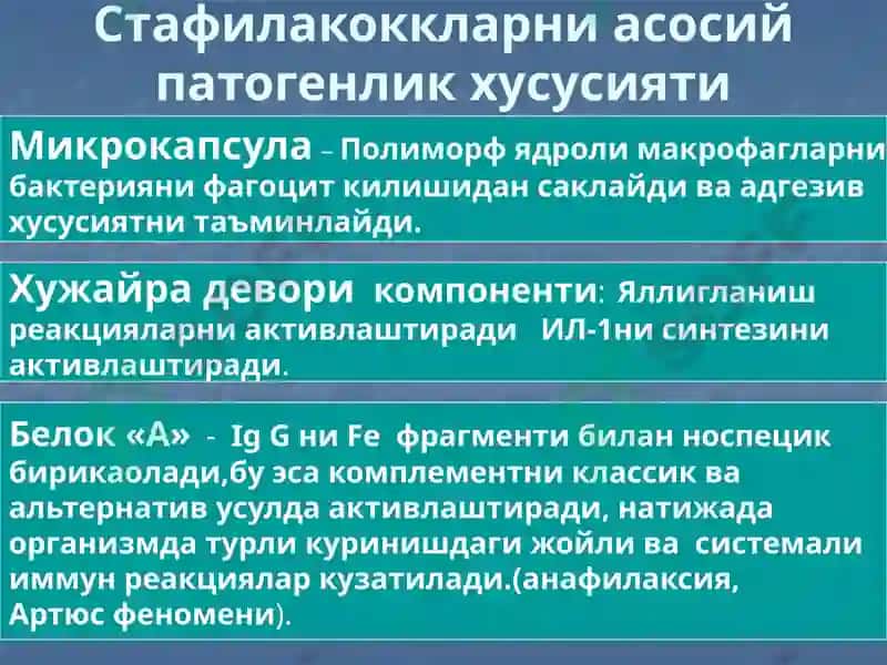 Йирингли яллиғланиш жараёнларини келтириб чиқарувчи микроорганизимлар. 7
