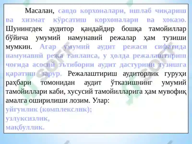Auditorlik tekshiruvini rejalashtirish 7