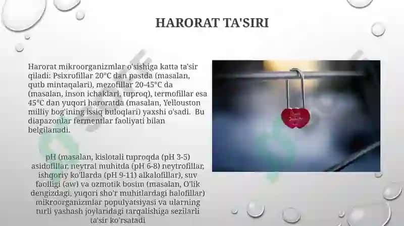 Tashqi muhit omillarining mikroorganizmlarga ta'siri 7