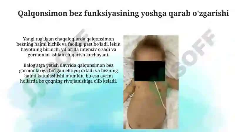 Endokrinsistemasiniyoshgabog'liqxususiyatlari 7