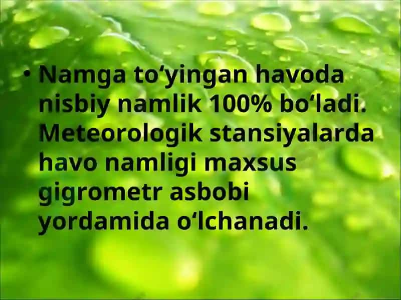 Havodagi suv bug‘i 7