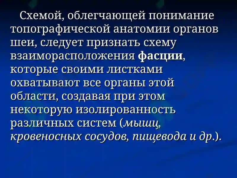 Клиническая анатомия с основами оперативной хирургии 7
