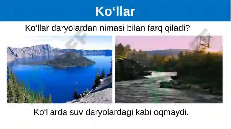 Geografiya 7