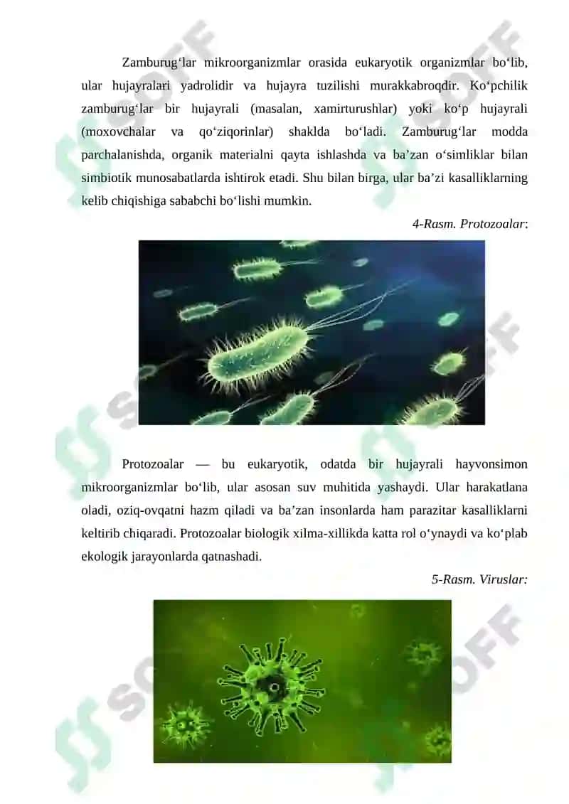 FERMENTLI PREPARATLAR ISHLAB CHIQARISH 7