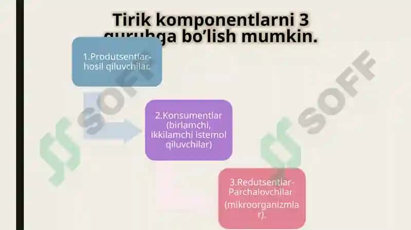 Quruqlik ekosistemalarining shartli,iqlimiy gruppalari va ularning muhim biotsenozlari. 7