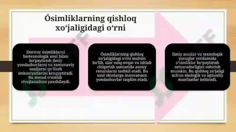 Dorivor o'simliklarni biotexnologik usul bilan kôpaytirishning ilmiy asoslari 7