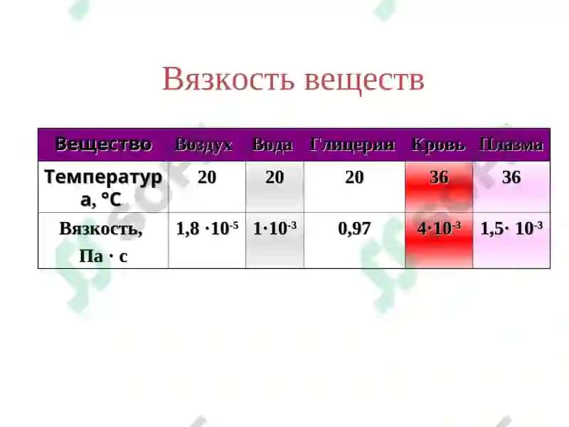 Физические основы кровеносной системы 7