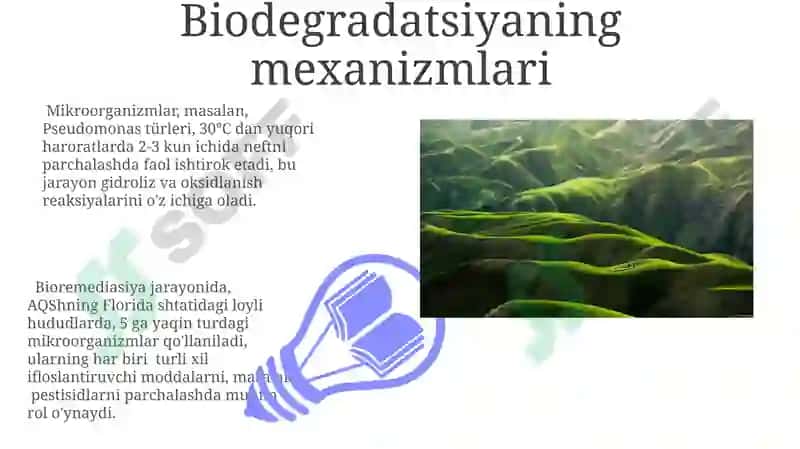 Biodegradatsiyani keltirib chiqaradigan omillar 7