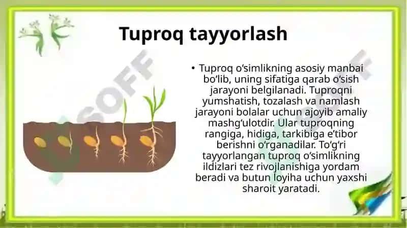 Mening kichik bo‘g‘im O‘simliklarni ekish, parvarishlash va kuzatish loyihasi 7