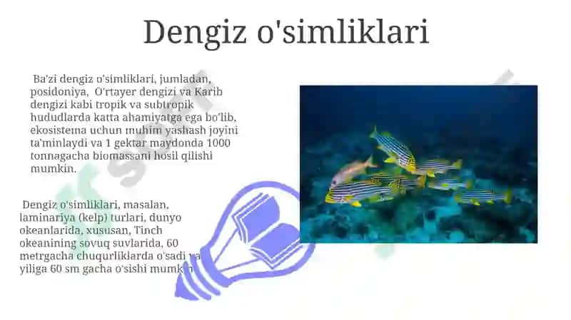 Baliqlar va dengizda yashovchilar 7