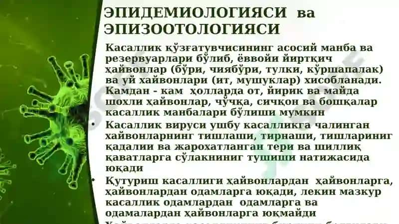 Қутуриш(гидрофобия) 7