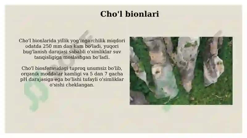 Quruqlik yuzasidagi bionlar 7