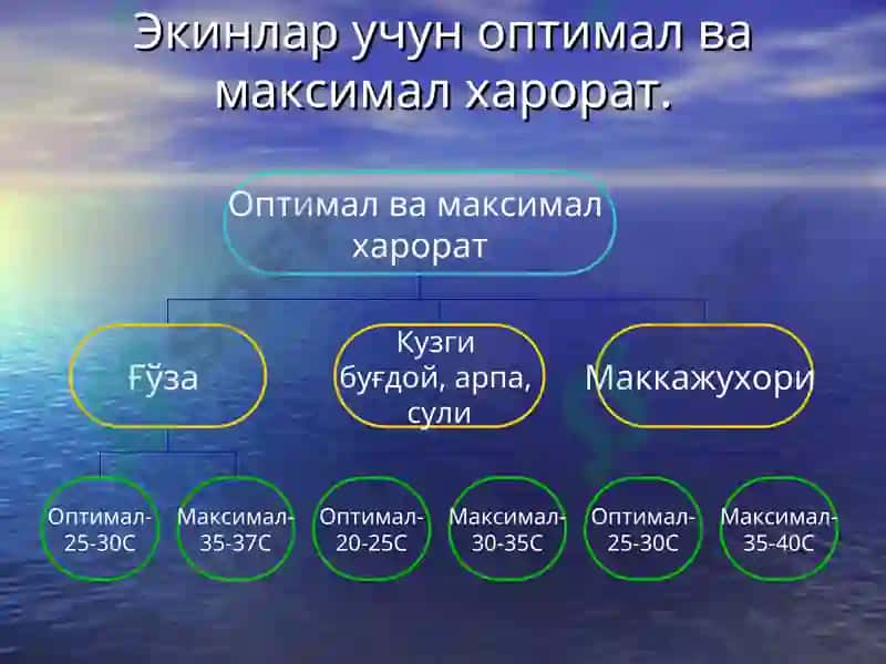 Тупроқнинг иссиқлик режими ва уни бошқариш 7