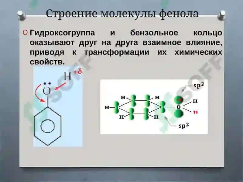 Фенол 7