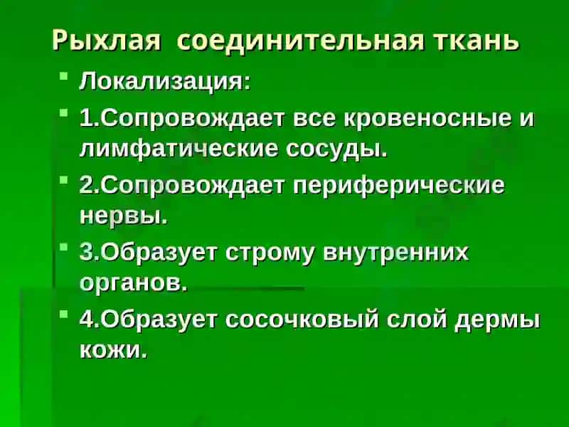 Лекция: «Собственно соединительные ткани. Соединительные ткани со специальными свойствами».Доцент Курумчина С.Г. 7