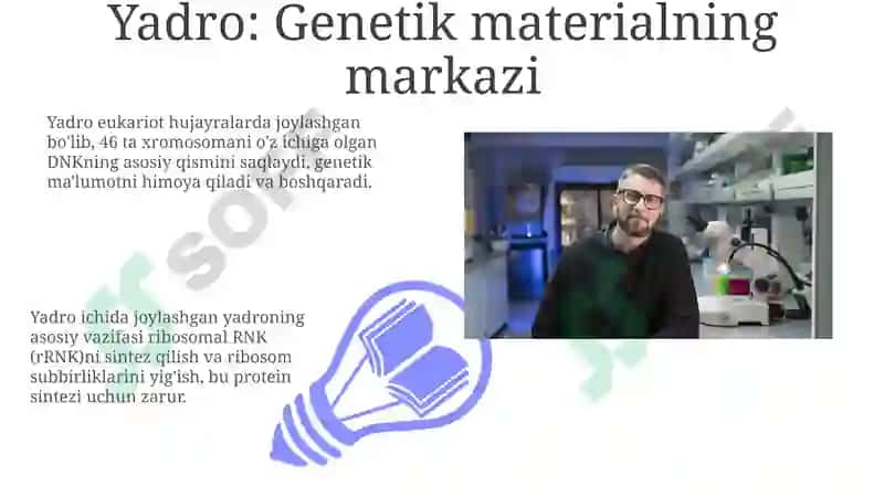 Hujayratuzilishi, Hujayranazariyasi, Genetikinjeneriya 7