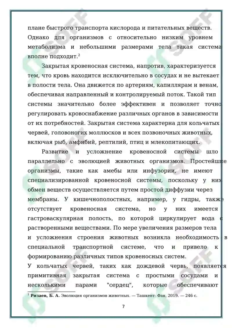Строение и эволюция кровеносной системы животных 7