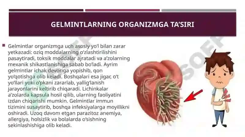 Gelmintlar odam parazitlari. Parazitlar kasalliklarning diagnostika usullari 7