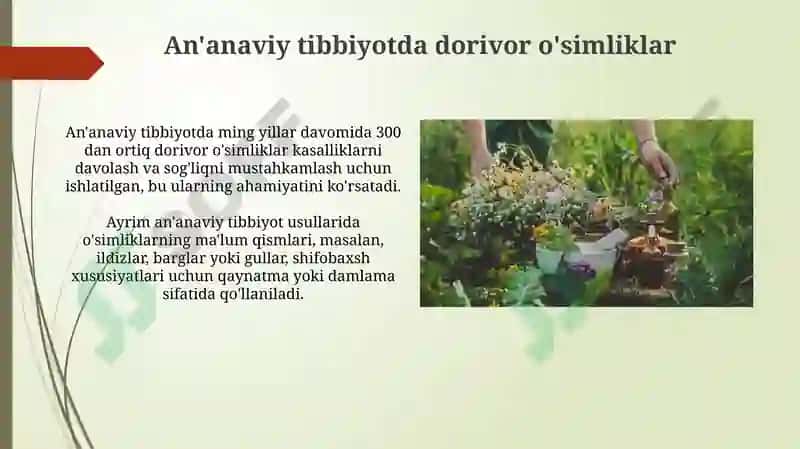 Dorivoroʻsimliklarvaularniqaytatiklashvamuhofazaetishyoʻllari 7