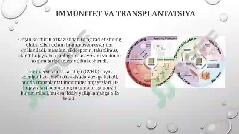 To'qimalarning regeneratsiyasi va transplantatsiyasi 7