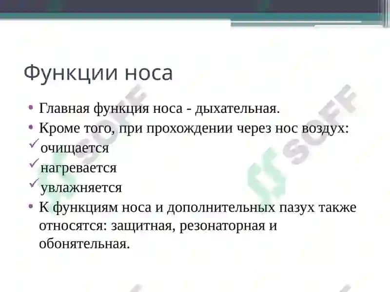 Анатомо-физиологические особенности органов дыхания детей 7