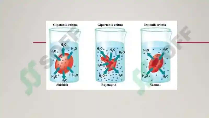 Biologik suyukliklar va elektrolitlar 7