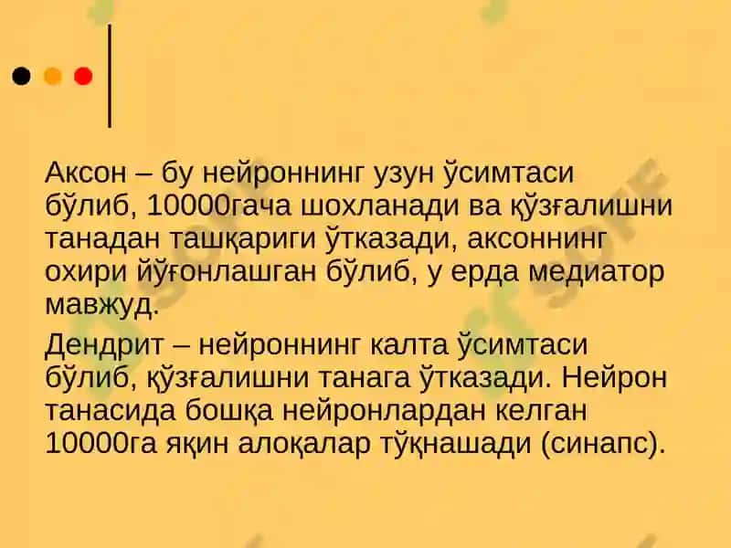 Асаб толаларининг ва синапсларнинг физиологияси 7