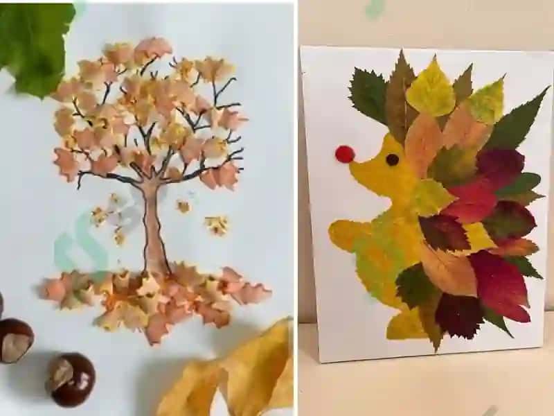 IJODIY QOBILIYATLARINI SHAKLLANTIRISHDA APPLIKATSIYANING OʻRNI 7