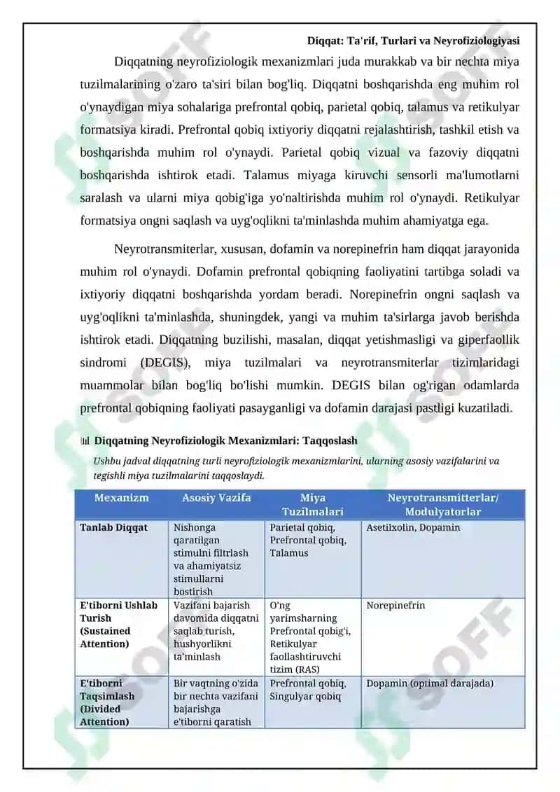 Diqqat: Ta'rif, Turlari va Neyrofiziologiyasi 7