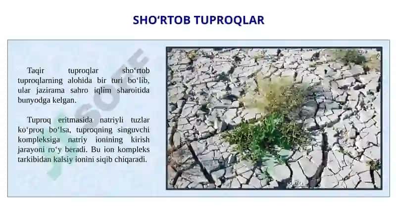Sho‘rtob va sho‘rxok tuproqlar va ular tarkibidagi tuzlar 7