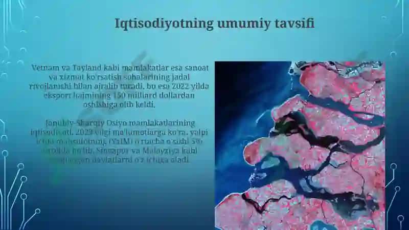 Janubiy -sharqiy osiyo mamlakatlariga iqtisodiy geografik tavsif 7