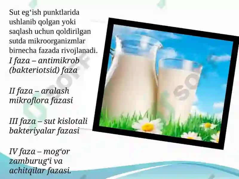 Sut, sut mahsulotlari va tuxum mikrobiologiyasi 7