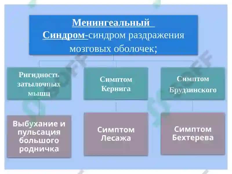 Воспалительныезаболеванияголовного и спинного мозга и их оболочек 7