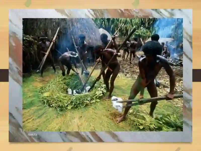 Afrika xalqlarining tarixiy etnologiyasi 7